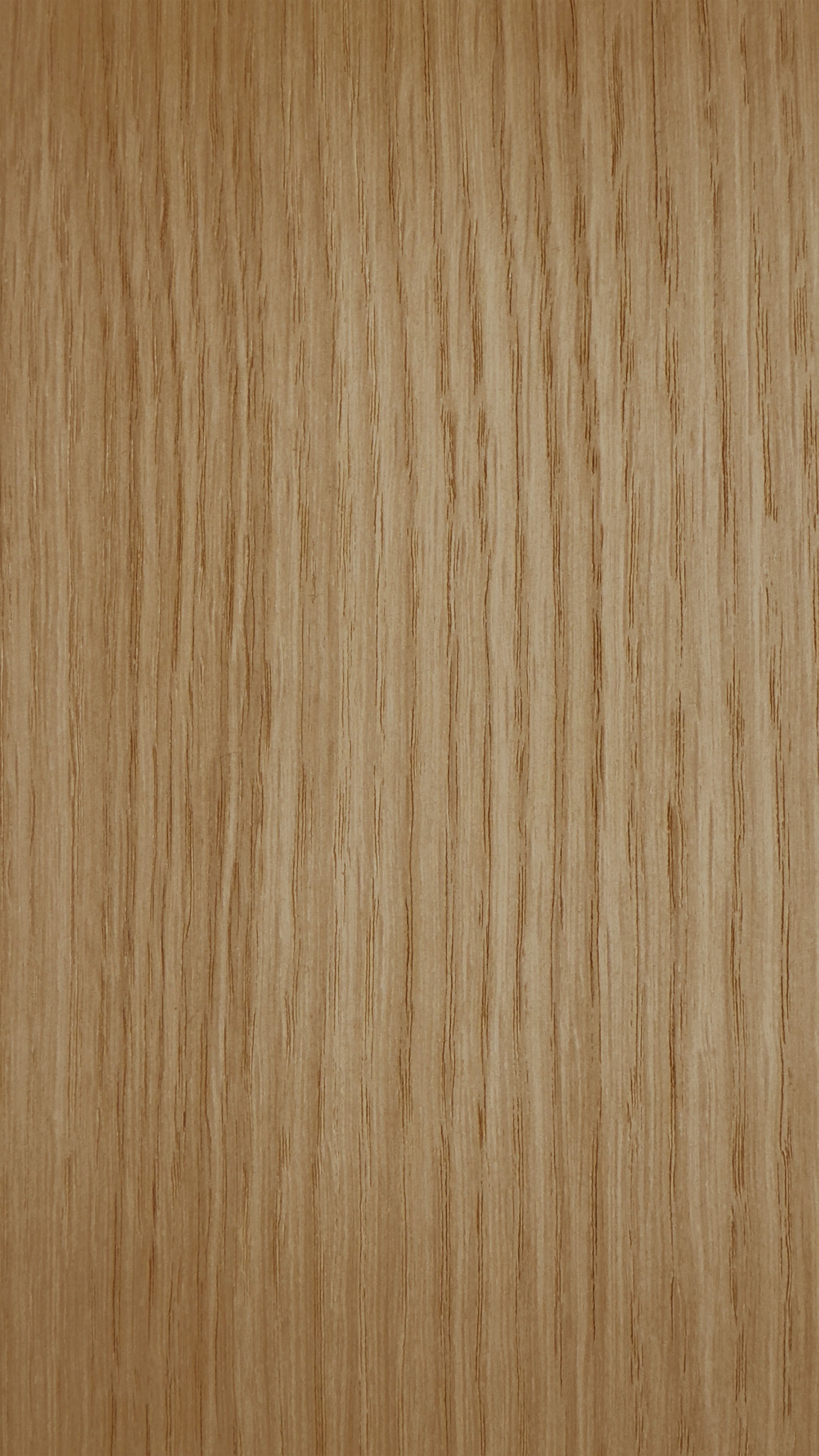 ROBLE-MA449