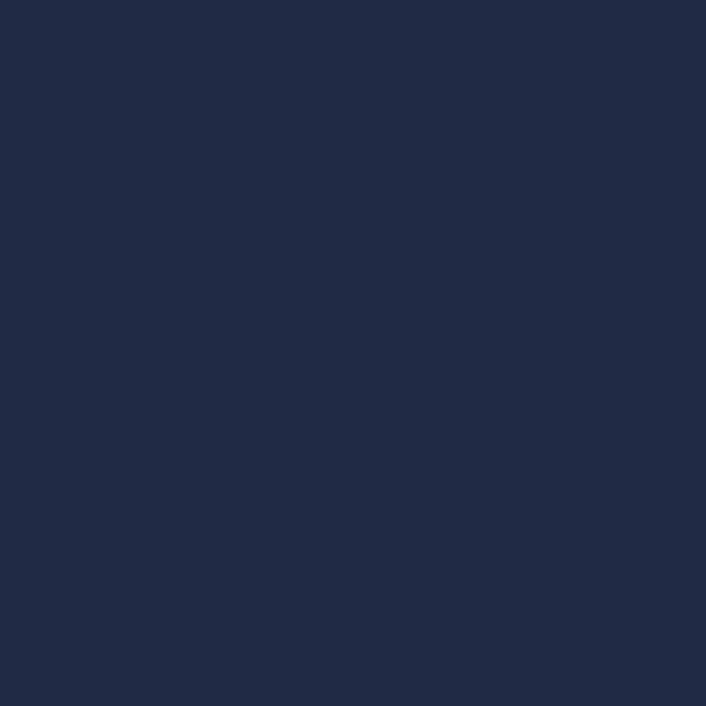 LACADO-Pantone 533
