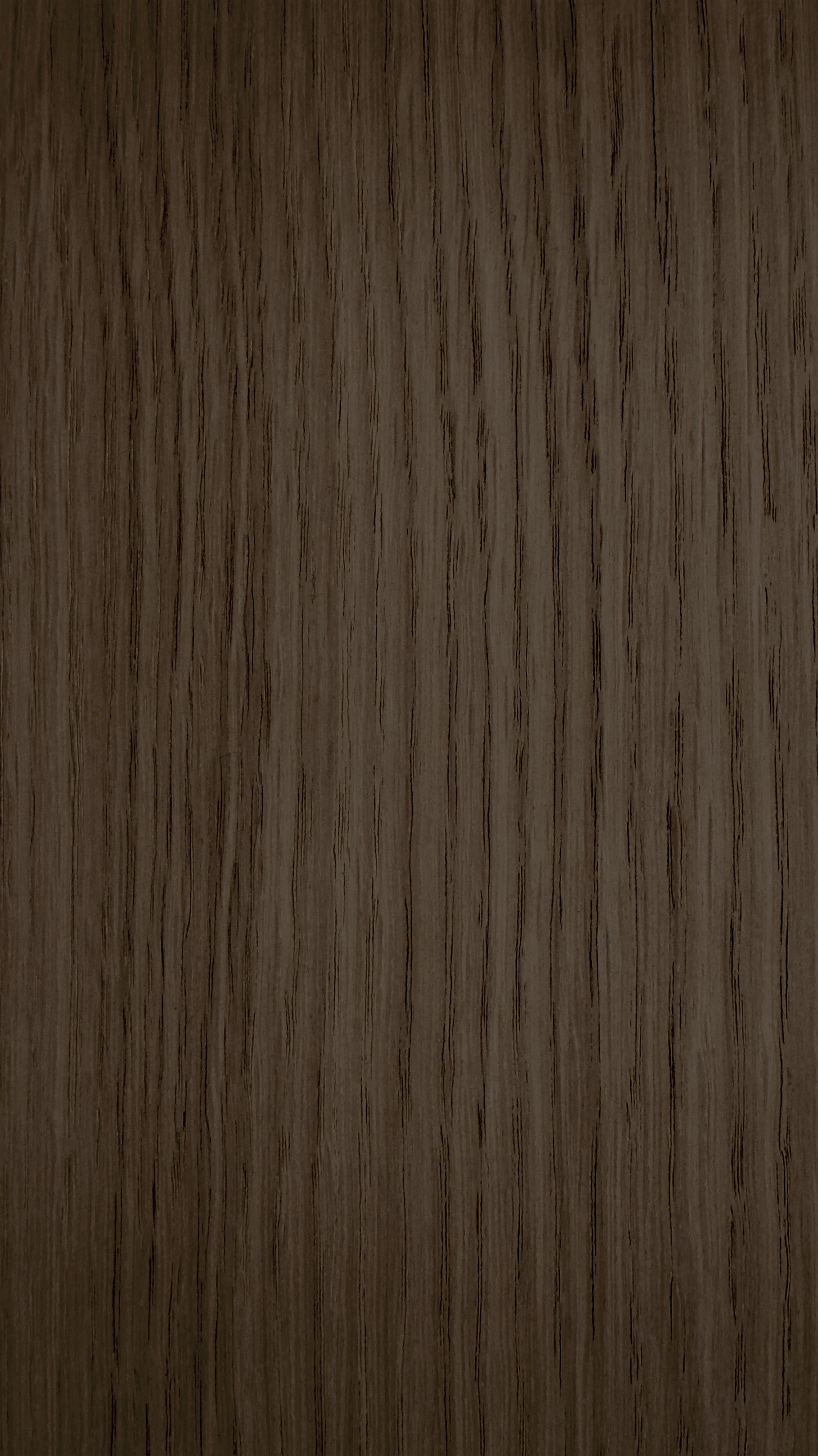 ROBLE-MA410